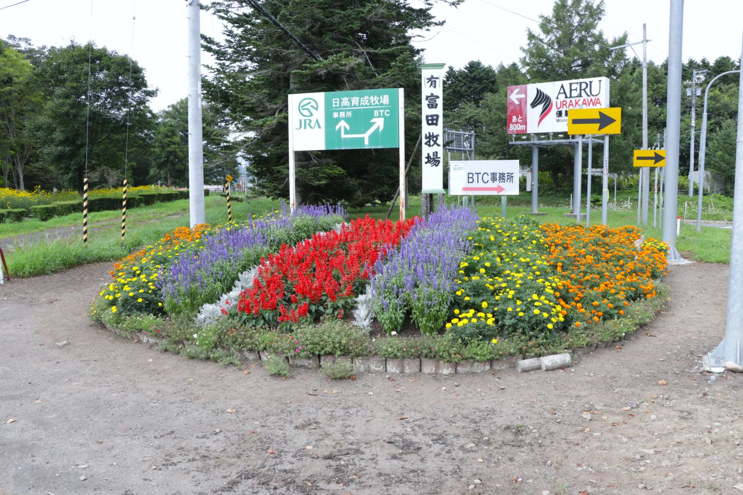 自慢の花壇を募集します！花いっぱいコンクール開催のサムネイル
