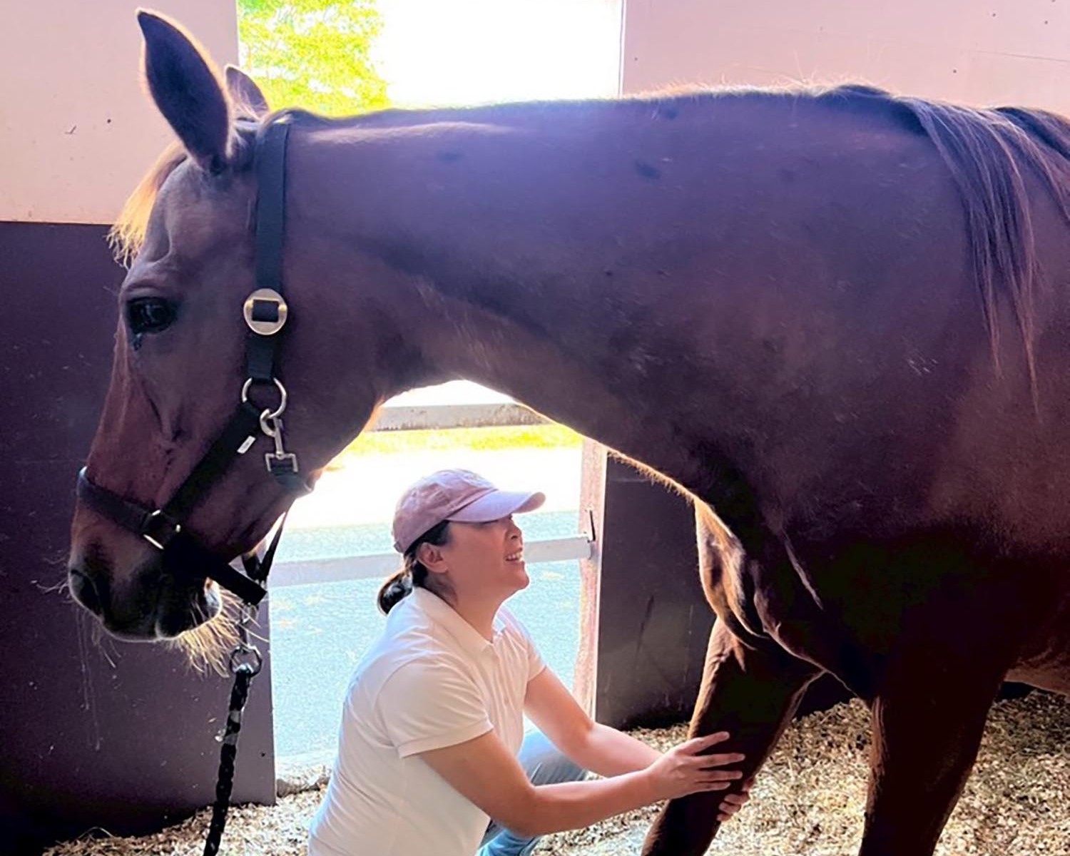 千本木倫子活動写真