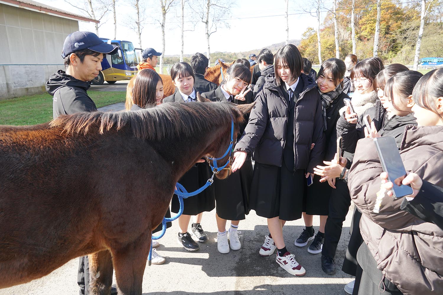 いきいきうらかわ【広報うらかわ12月号】のサムネイル