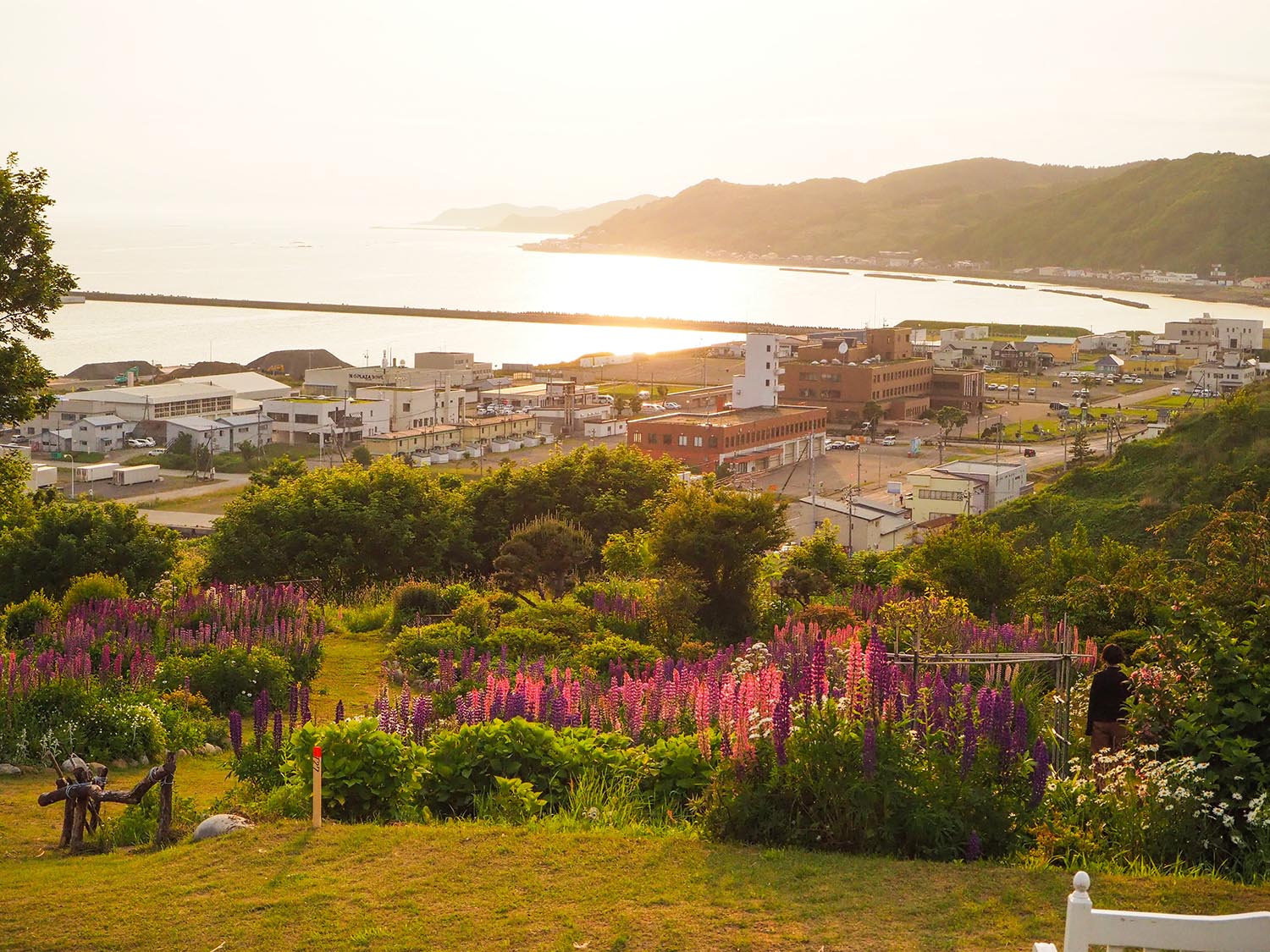 タウンガイド【広報うらかわ　令和8年2月号】のサムネイル