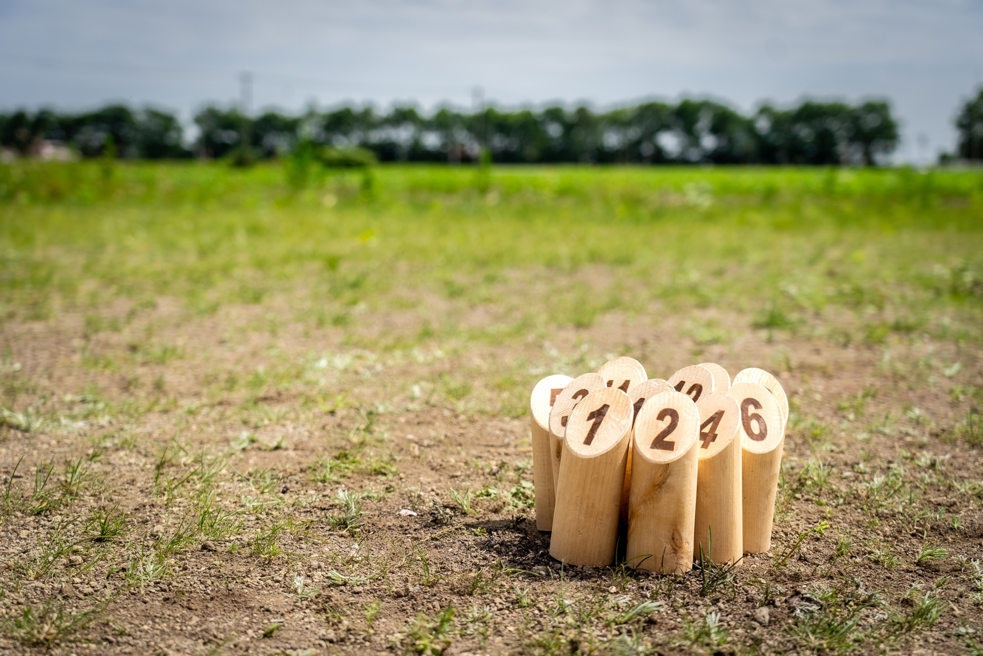 生涯学習ニュースのサムネイル