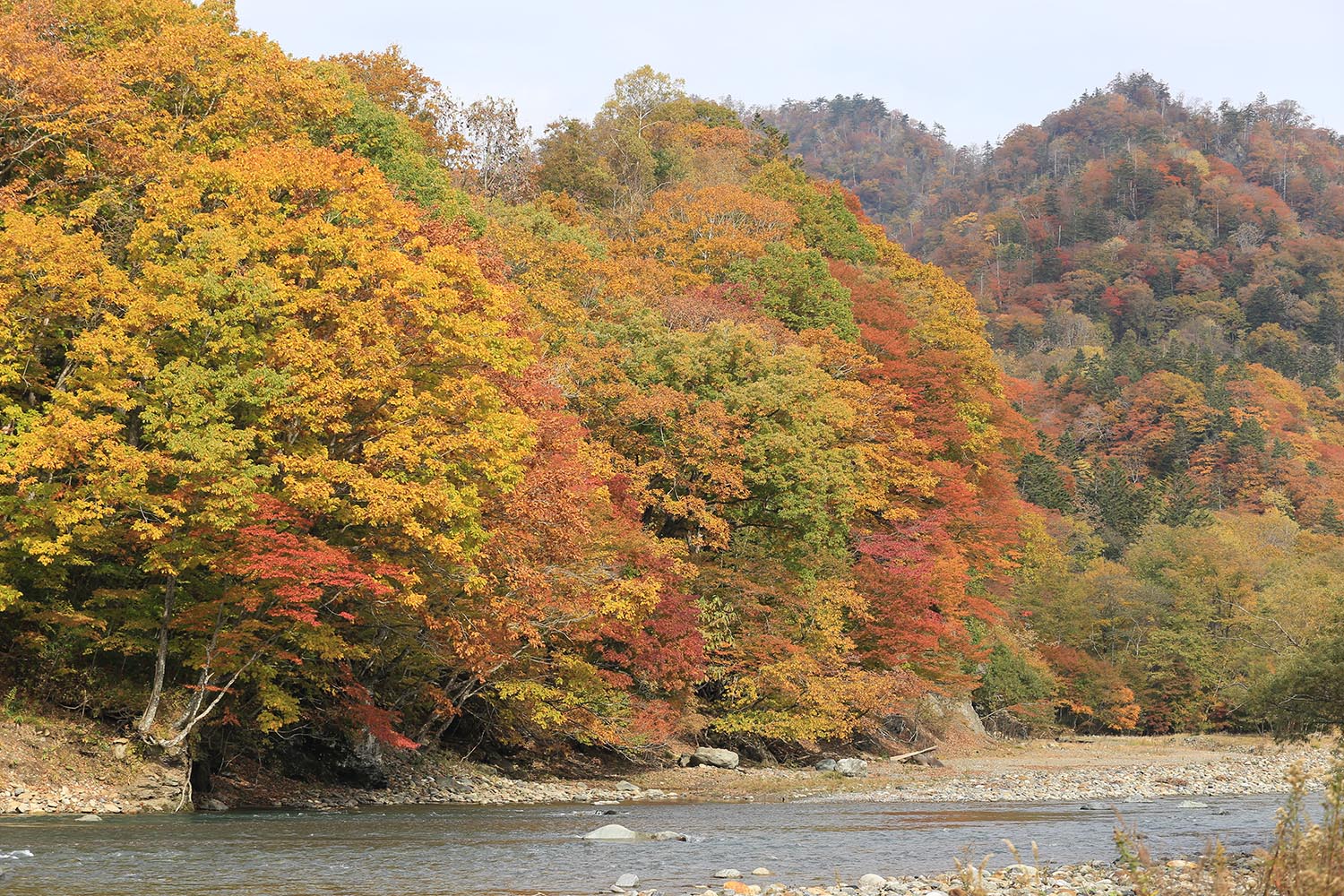 1月1日より火災予防条例が一部改正 林野火災注意報・警報が新設されましたのサムネイル
