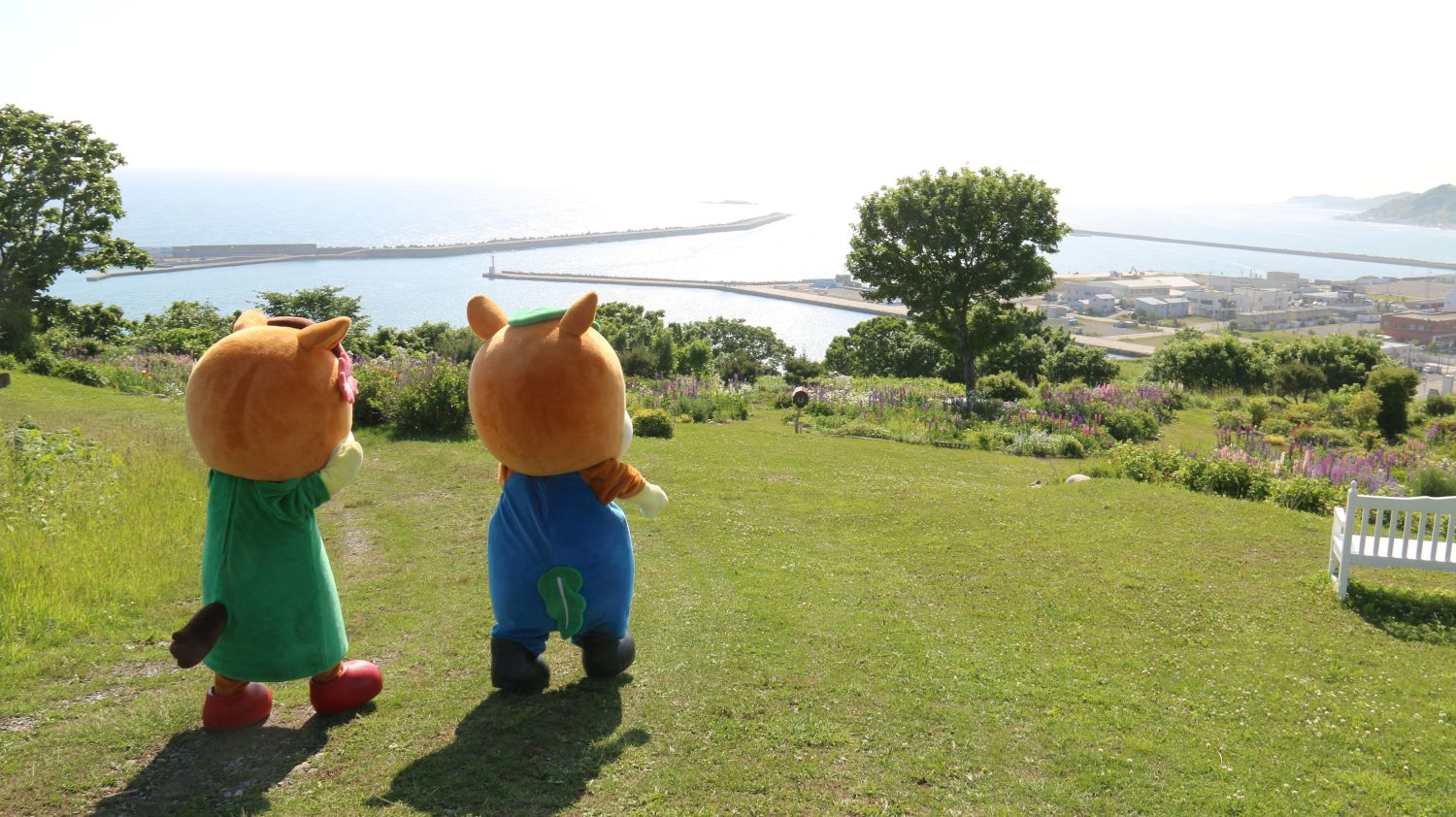 第8次浦河町総合計画策定にかかる審議会委員を公募しますのサムネイル