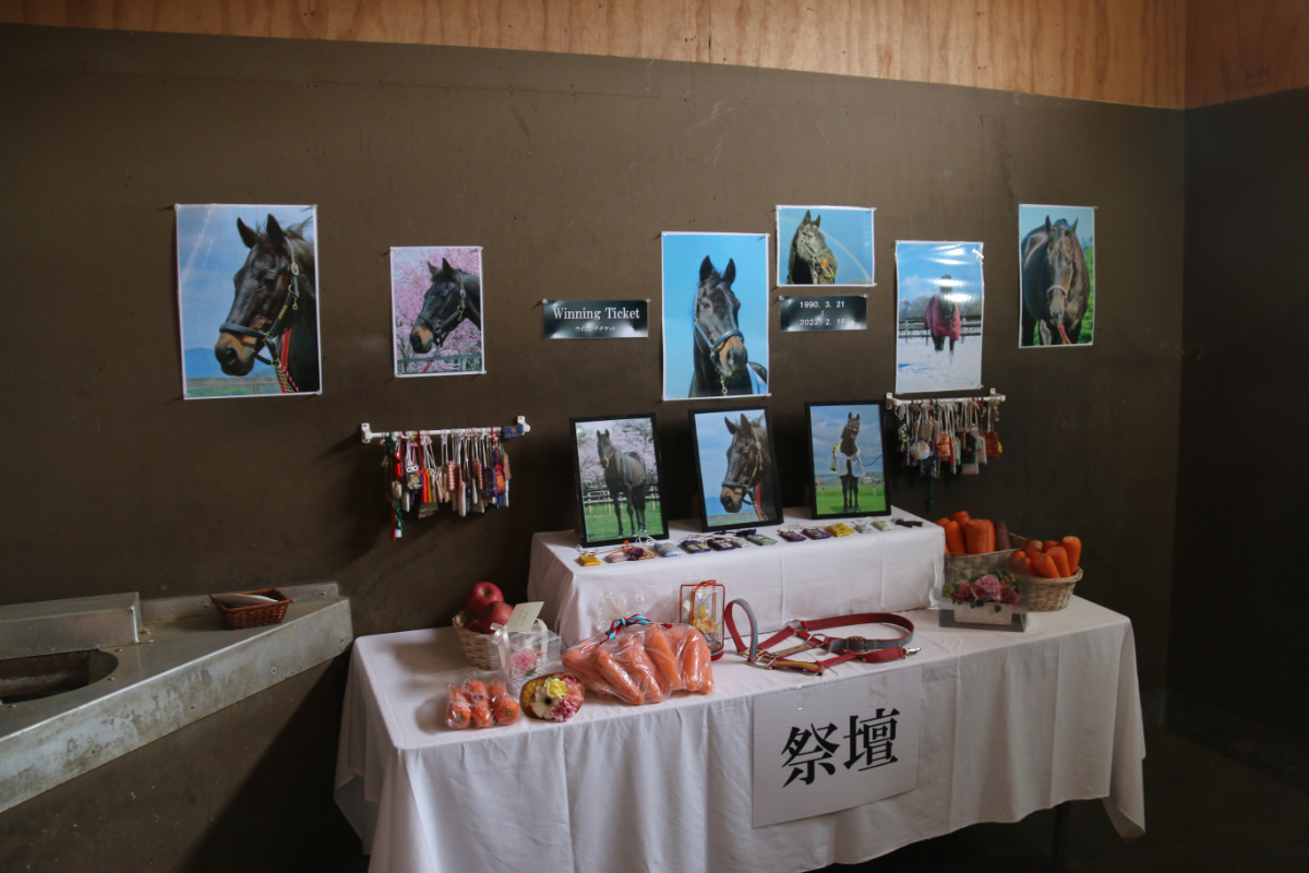 ありがとう、ウイニングチケット。のサムネイル