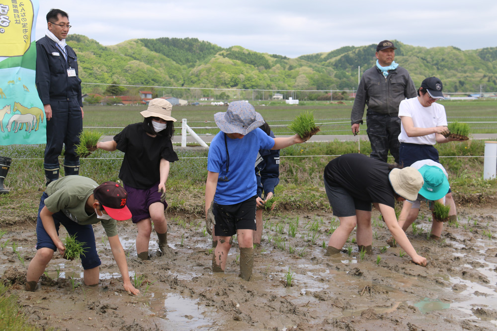 荻伏小と東部小の児童が泥だらけになりながらも田植えを体験のサムネイル