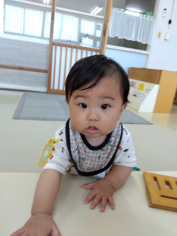 東部保育所で「あそびの森」が開かれましたのサムネイル