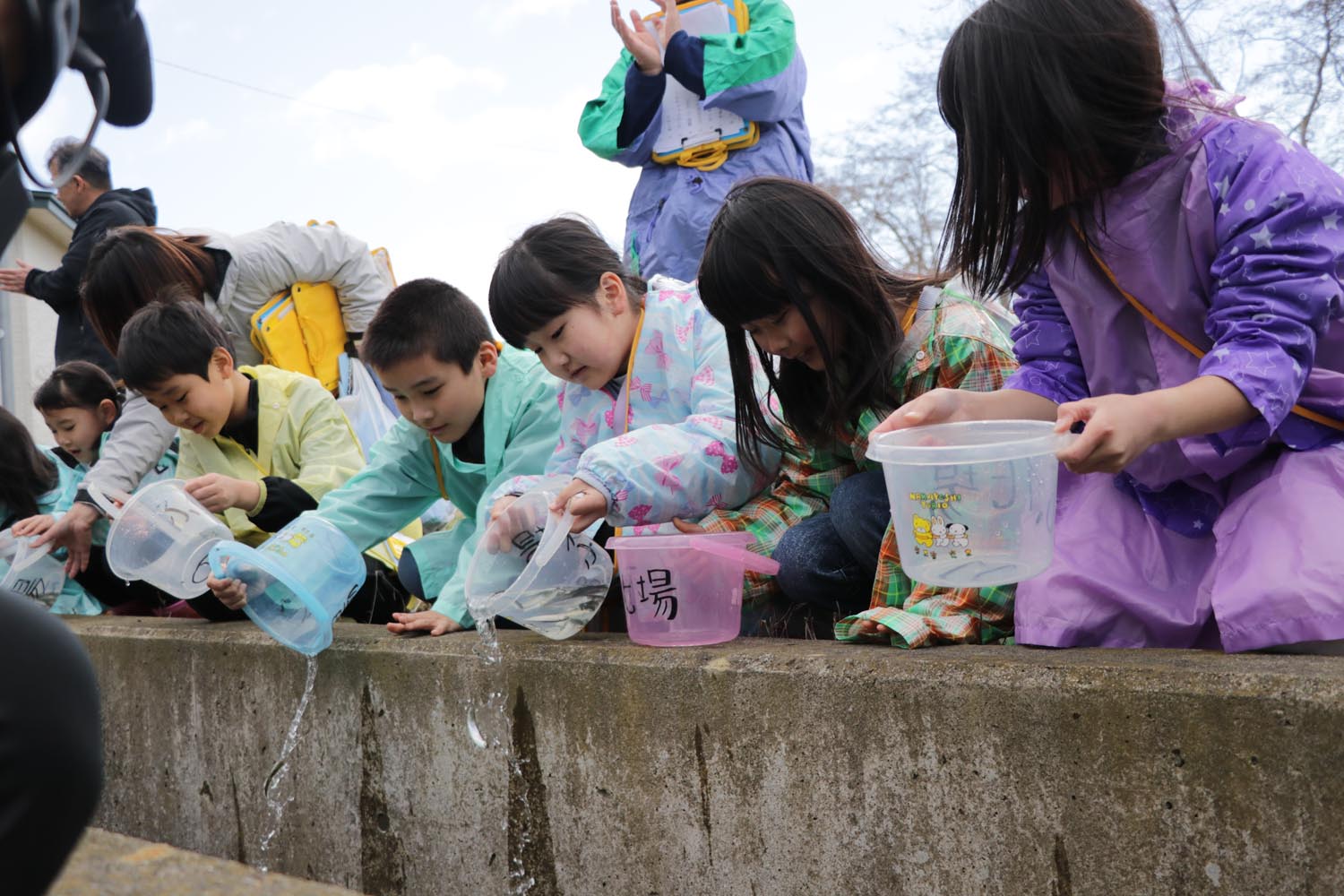 大きくなって帰ってきてねとさけの稚魚を放流のサムネイル