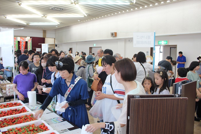 浦河の夏いちごを満喫‼のサムネイル