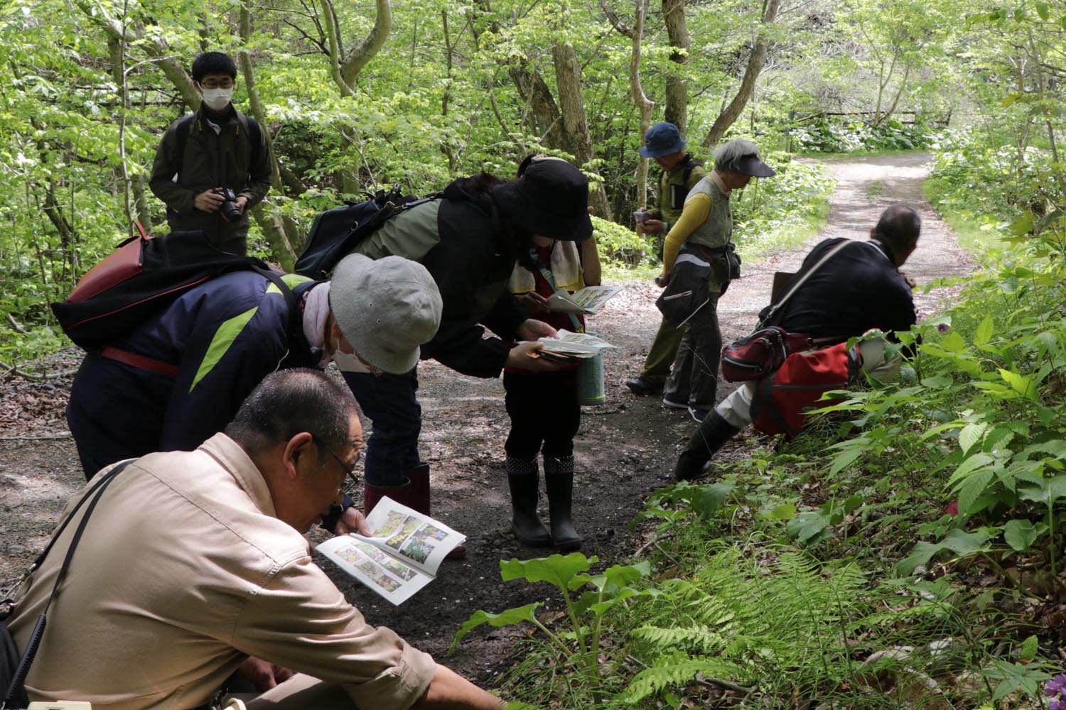 野鳥や植物を観察。浦河町森林公園で自然探索会のサムネイル