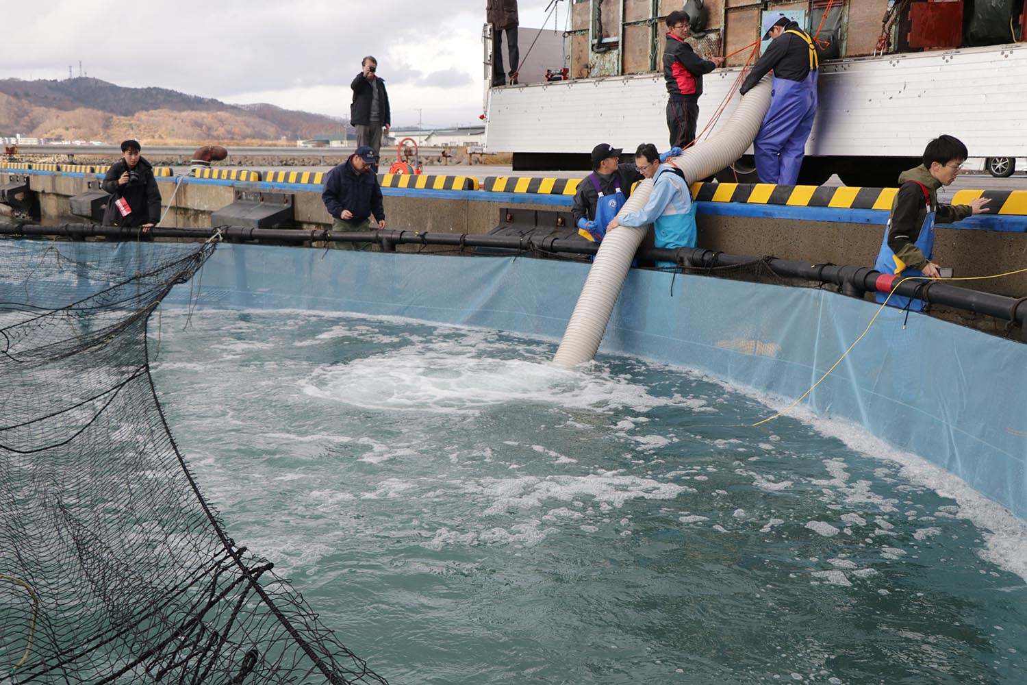 浦河町栽培漁業研究会が養殖の事業化に向けトラウトサーモンを投入のサムネイル