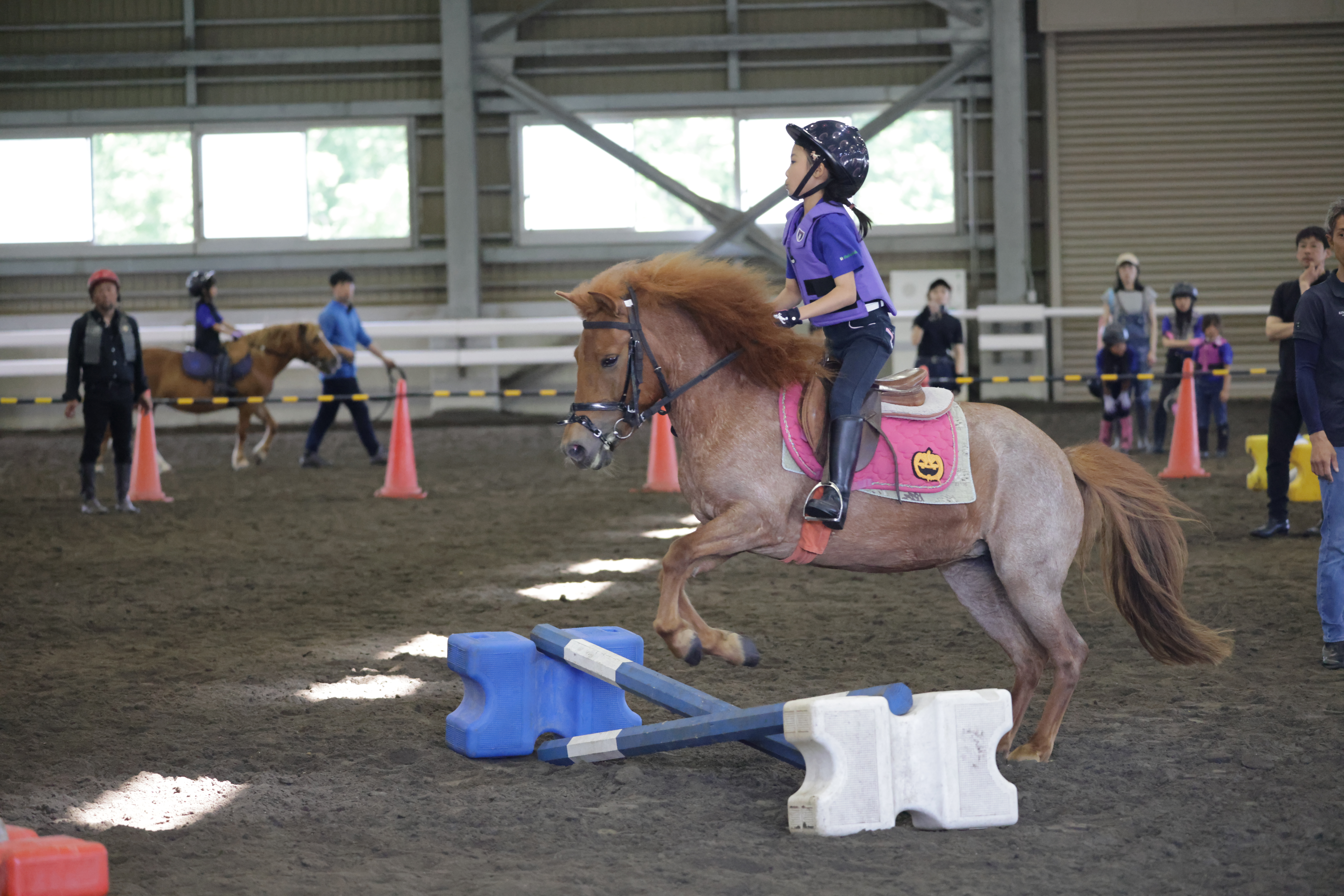 ポニーと駆ける、人馬一体で華麗なジャンプを披露のサムネイル