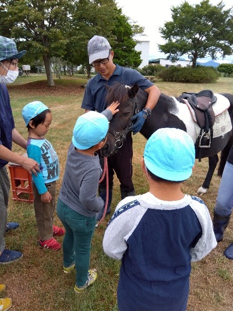 保育園児とポニーと触れ合う写真