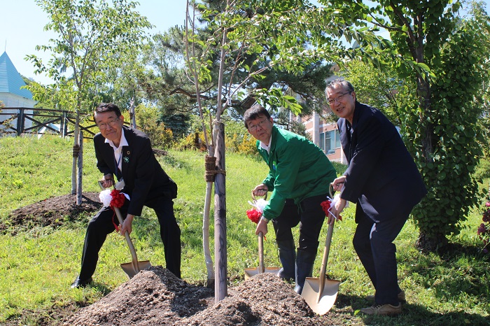 桜に土をかける様子