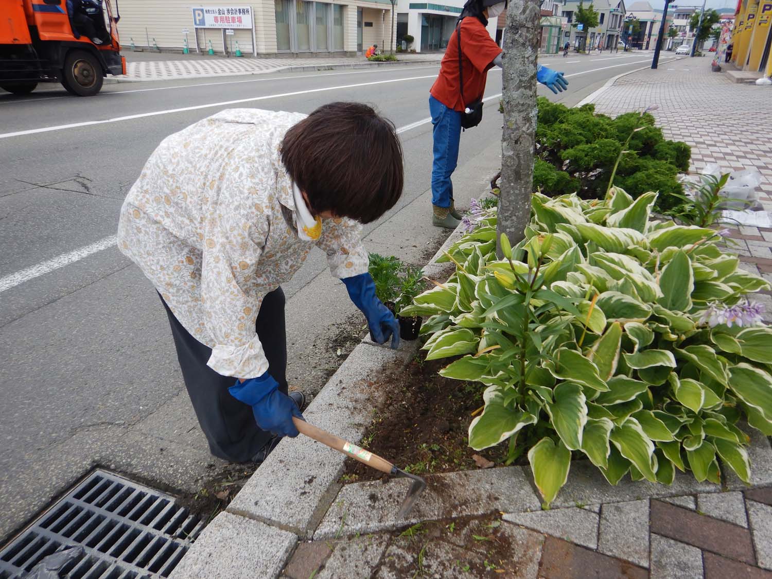 ベゴニアを植える様子