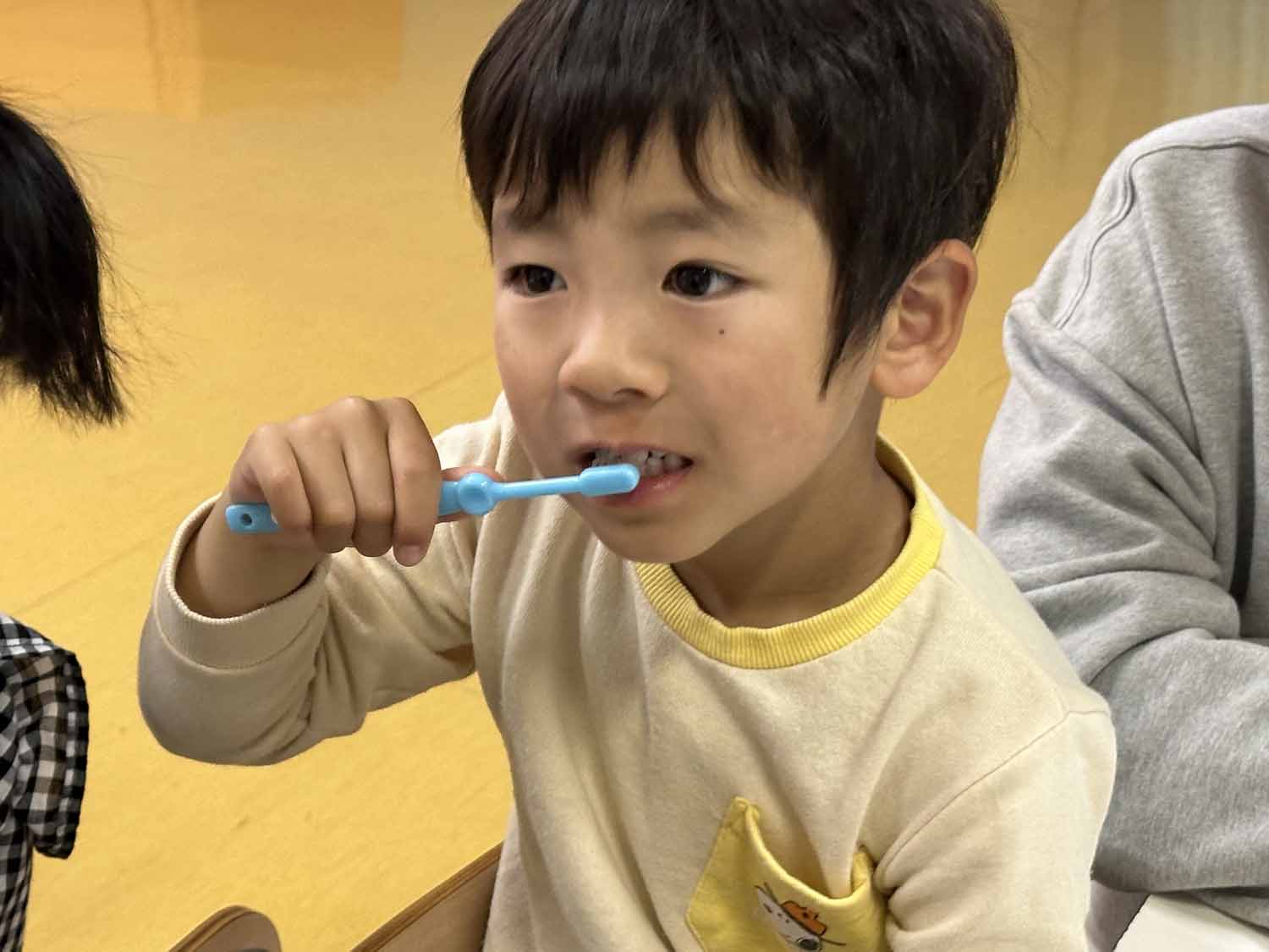 こどもの歯磨きの様子