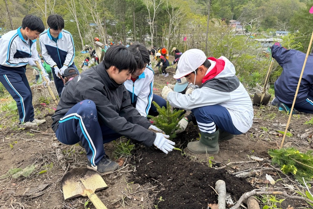 植樹する様子